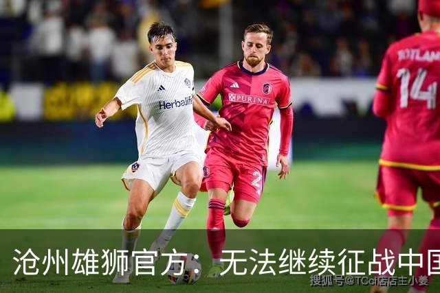 沧州雄狮官方：无法继续征战中国足球职业联赛
